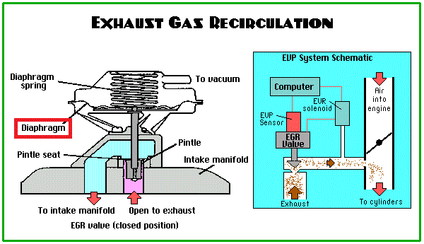 EGR valve Diaphragms free design